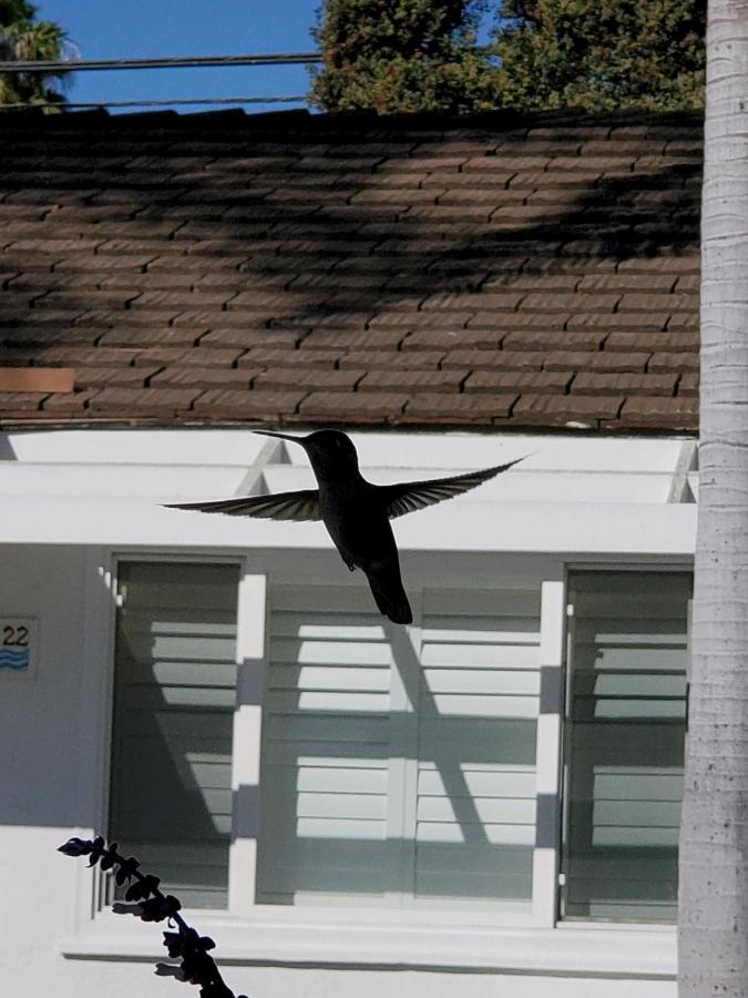 Marina Beach Motel Santa Barbara Bagian luar foto